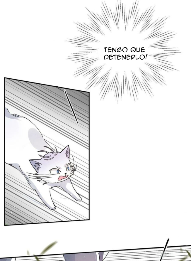 41 Tengo que trabajar duro para ser un gato hoy!