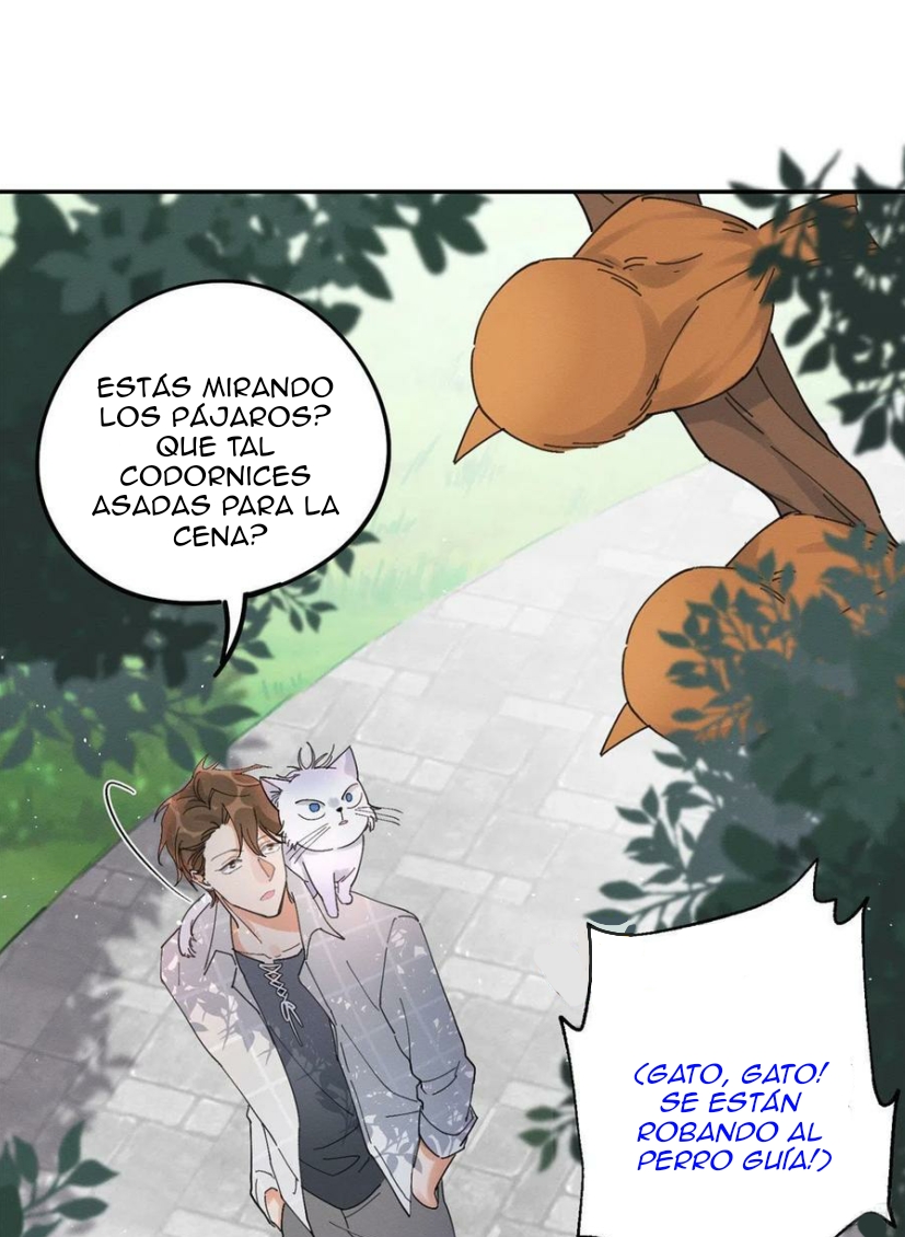 37 Tengo que trabajar duro para ser un gato hoy!