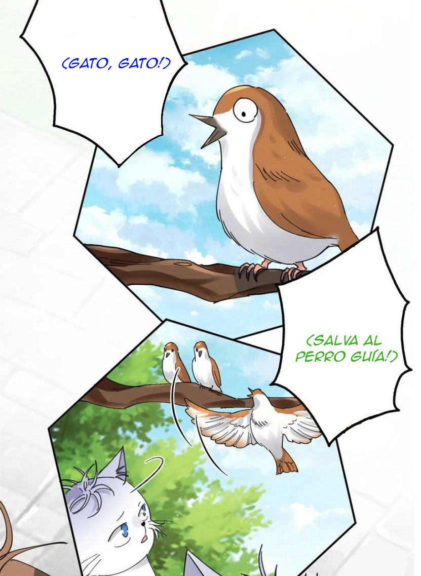 35 Tengo que trabajar duro para ser un gato hoy!