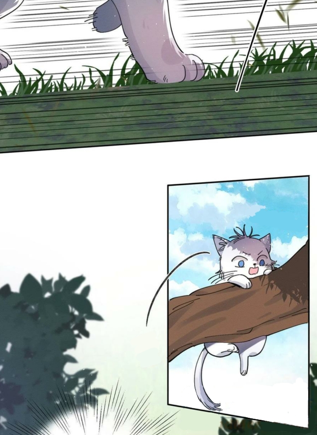 42 Tengo que trabajar duro para ser un gato hoy!