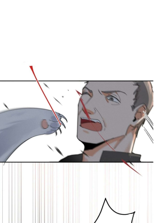 50 Tengo que trabajar duro para ser un gato hoy!