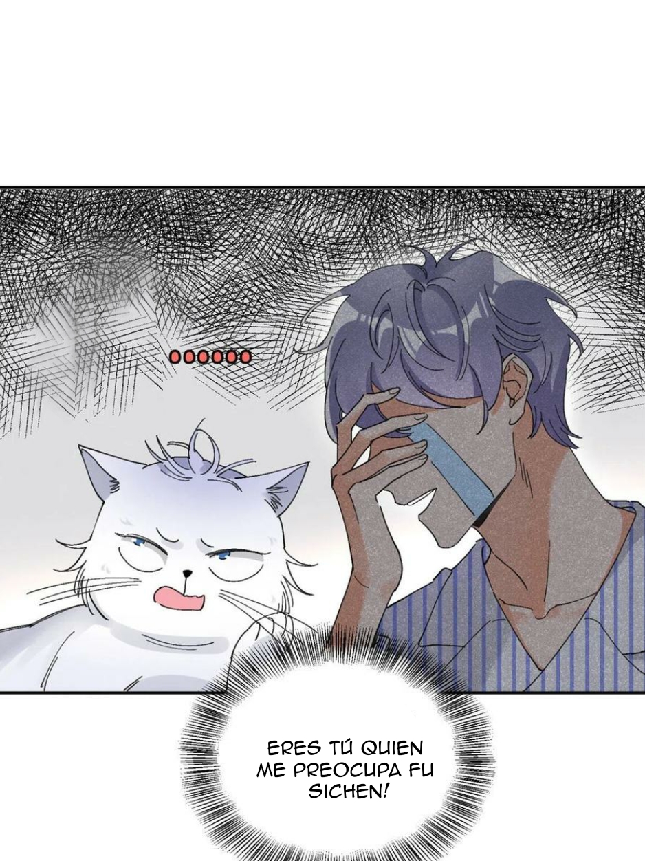 29 Tengo que trabajar duro para ser un gato hoy!