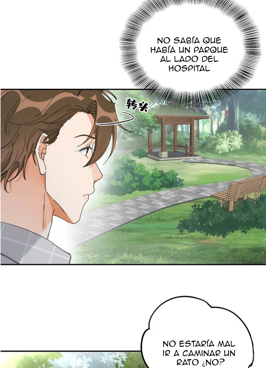 33 Tengo que trabajar duro para ser un gato hoy!