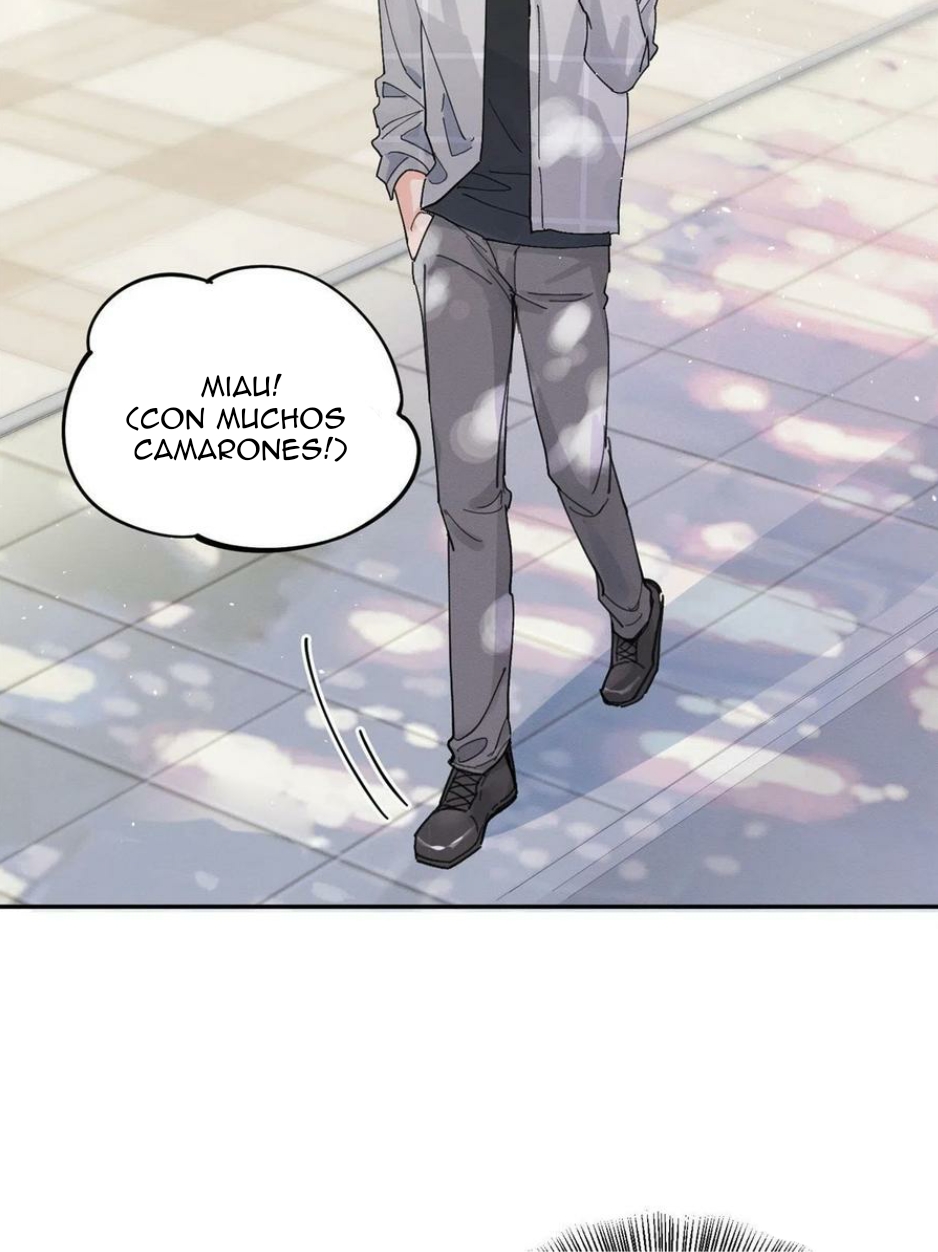 32 Tengo que trabajar duro para ser un gato hoy!