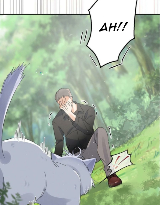 51 Tengo que trabajar duro para ser un gato hoy!