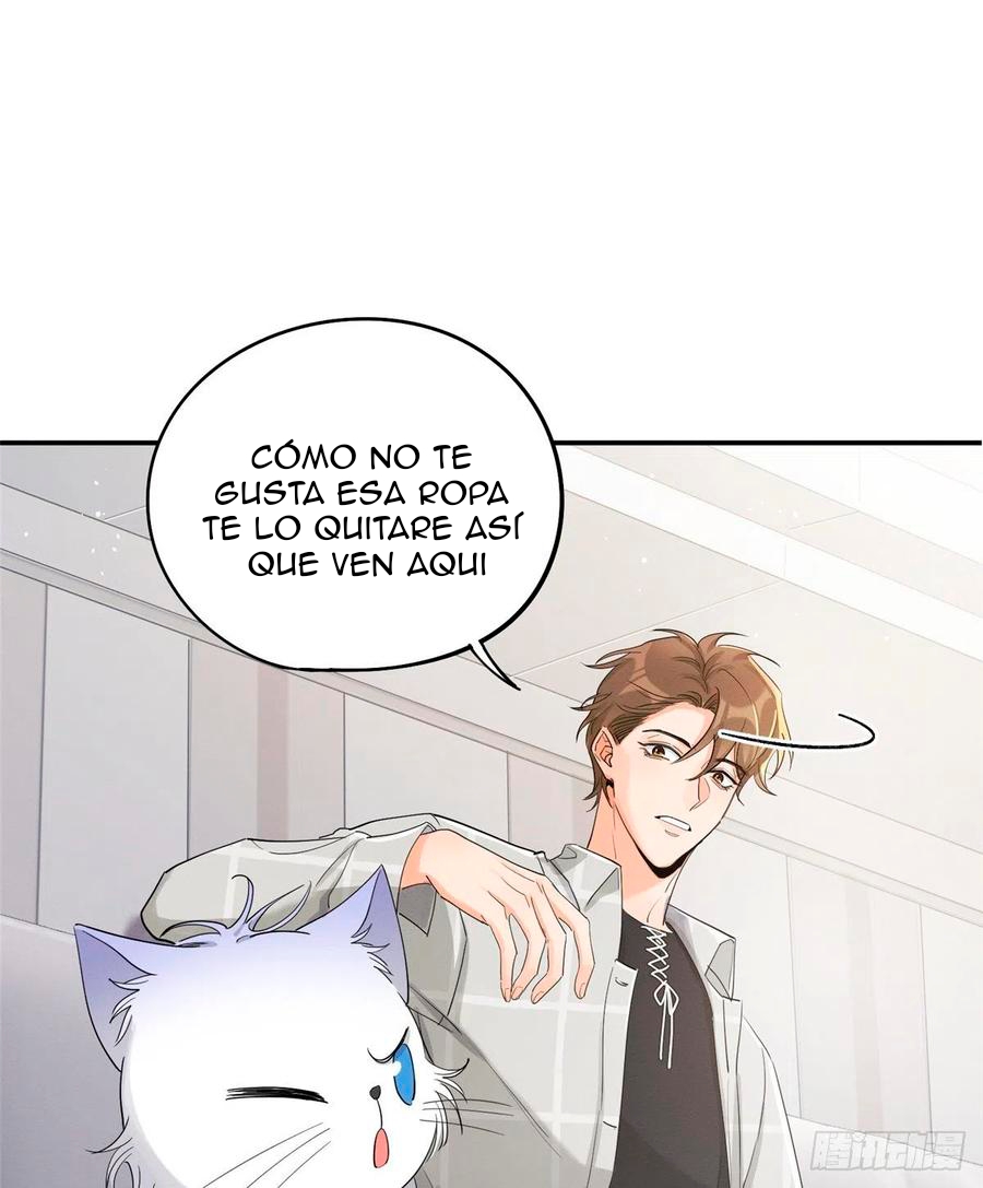 7 Tengo que trabajar duro para ser un gato hoy!