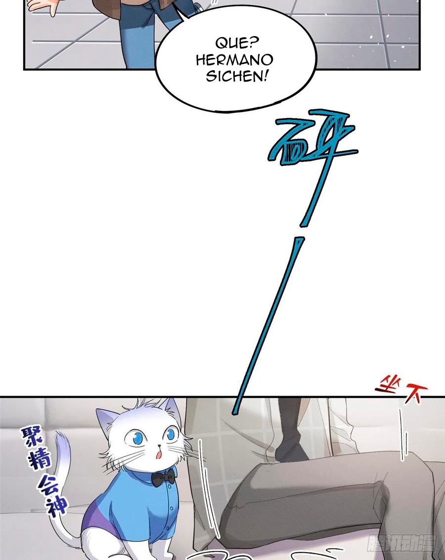 4 Tengo que trabajar duro para ser un gato hoy!