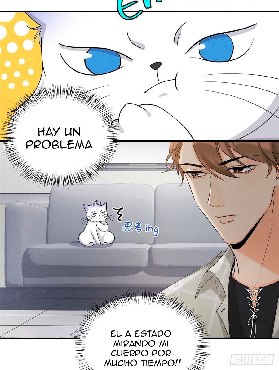 18 Tengo que trabajar duro para ser un gato hoy!