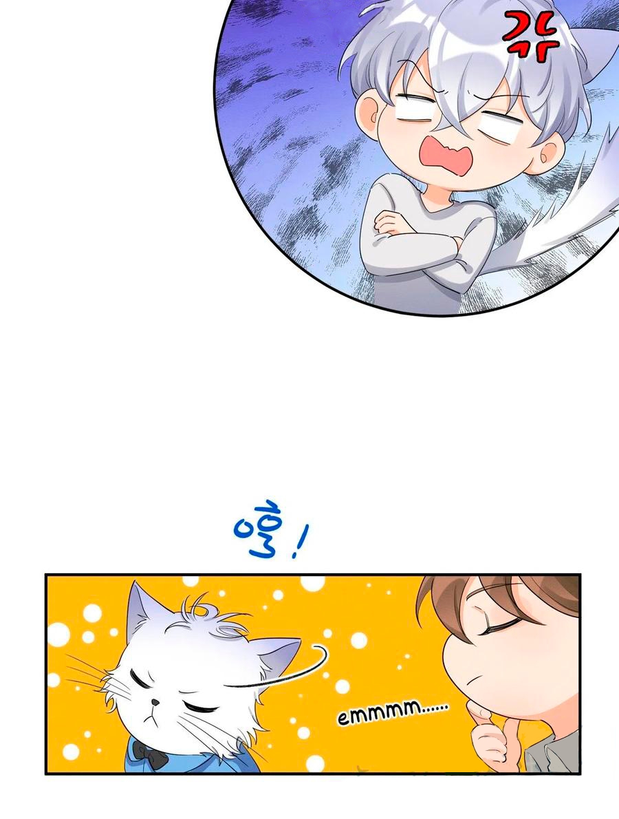 6 Tengo que trabajar duro para ser un gato hoy!