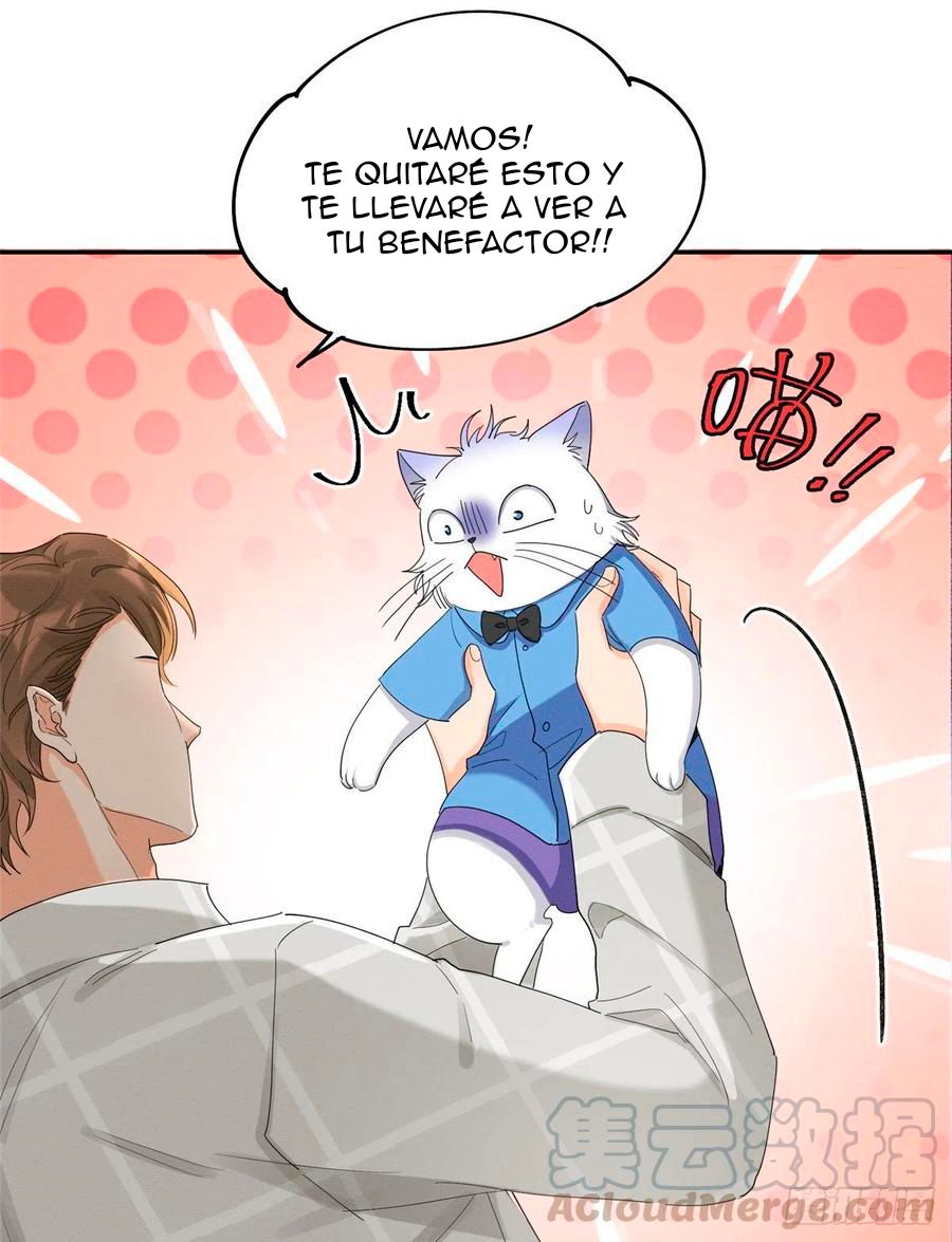 15 Tengo que trabajar duro para ser un gato hoy!