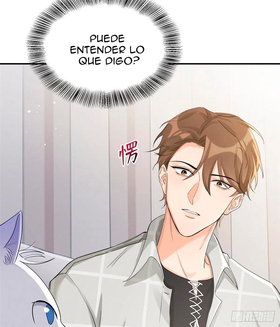 11 Tengo que trabajar duro para ser un gato hoy!