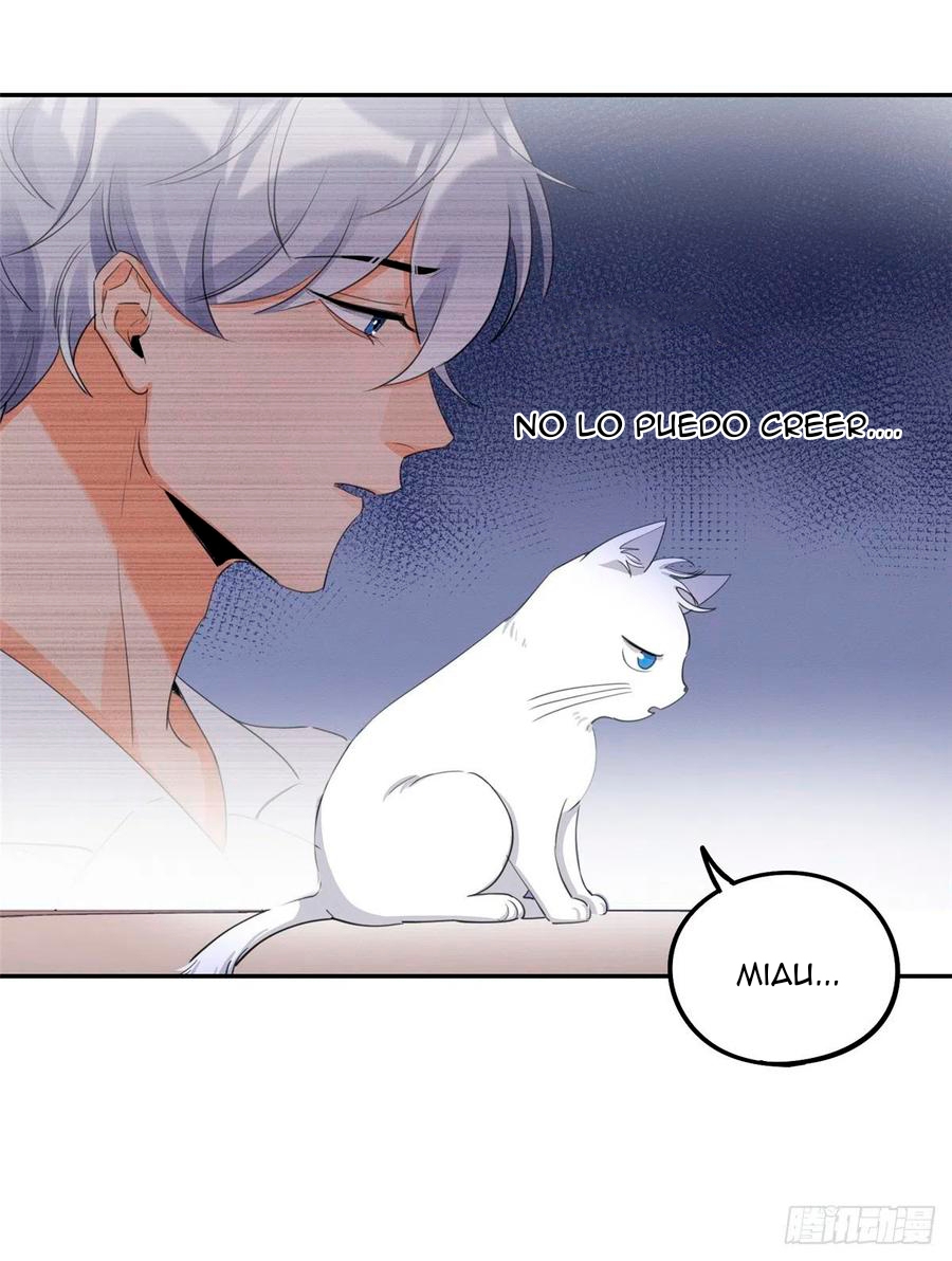 28 Tengo que trabajar duro para ser un gato hoy!