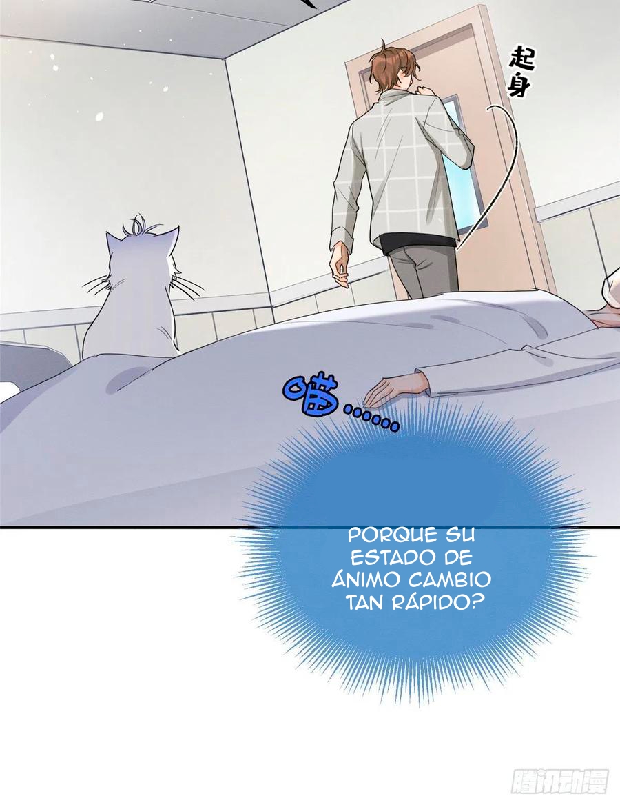 47 Tengo que trabajar duro para ser un gato hoy!