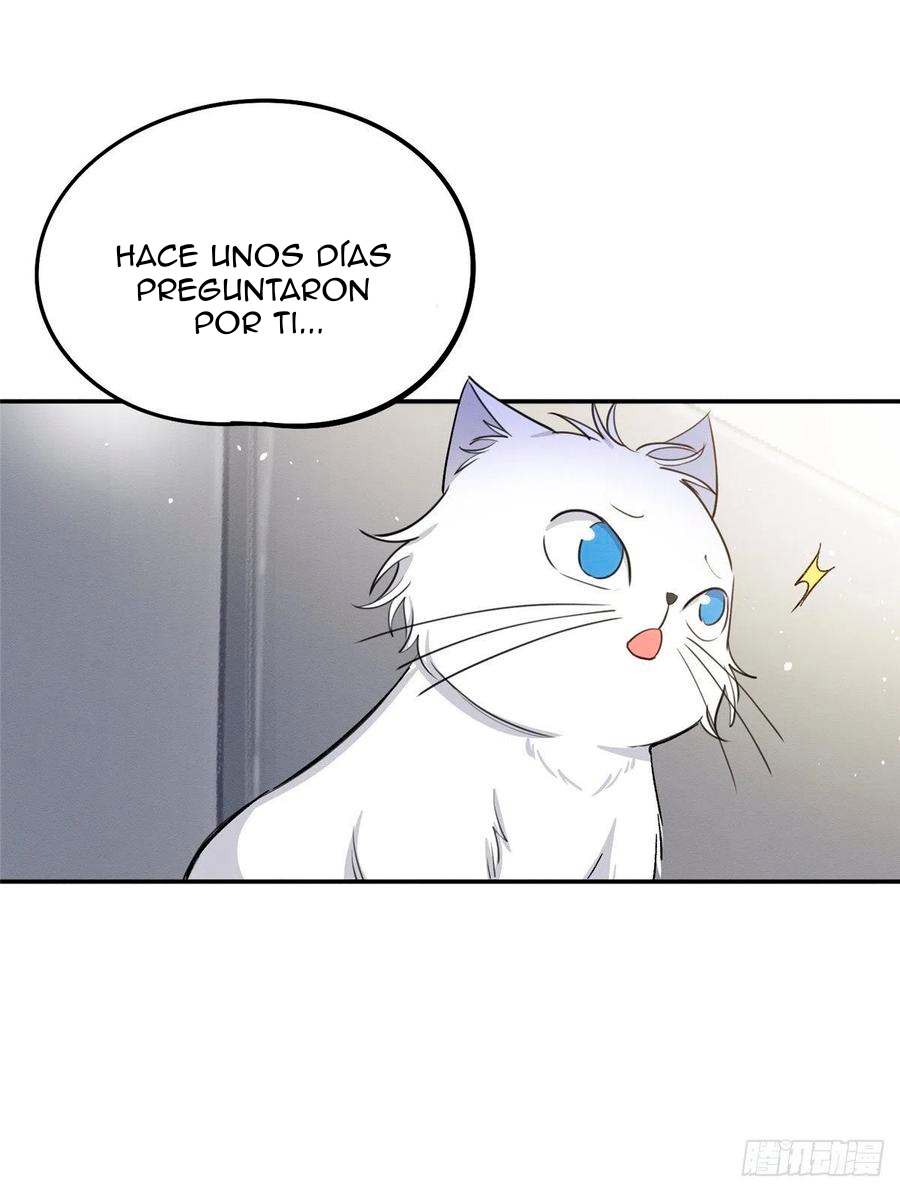 26 Tengo que trabajar duro para ser un gato hoy!