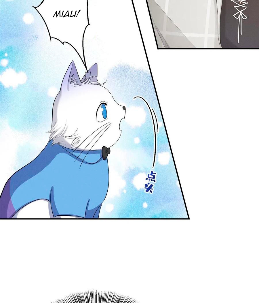 10 Tengo que trabajar duro para ser un gato hoy!