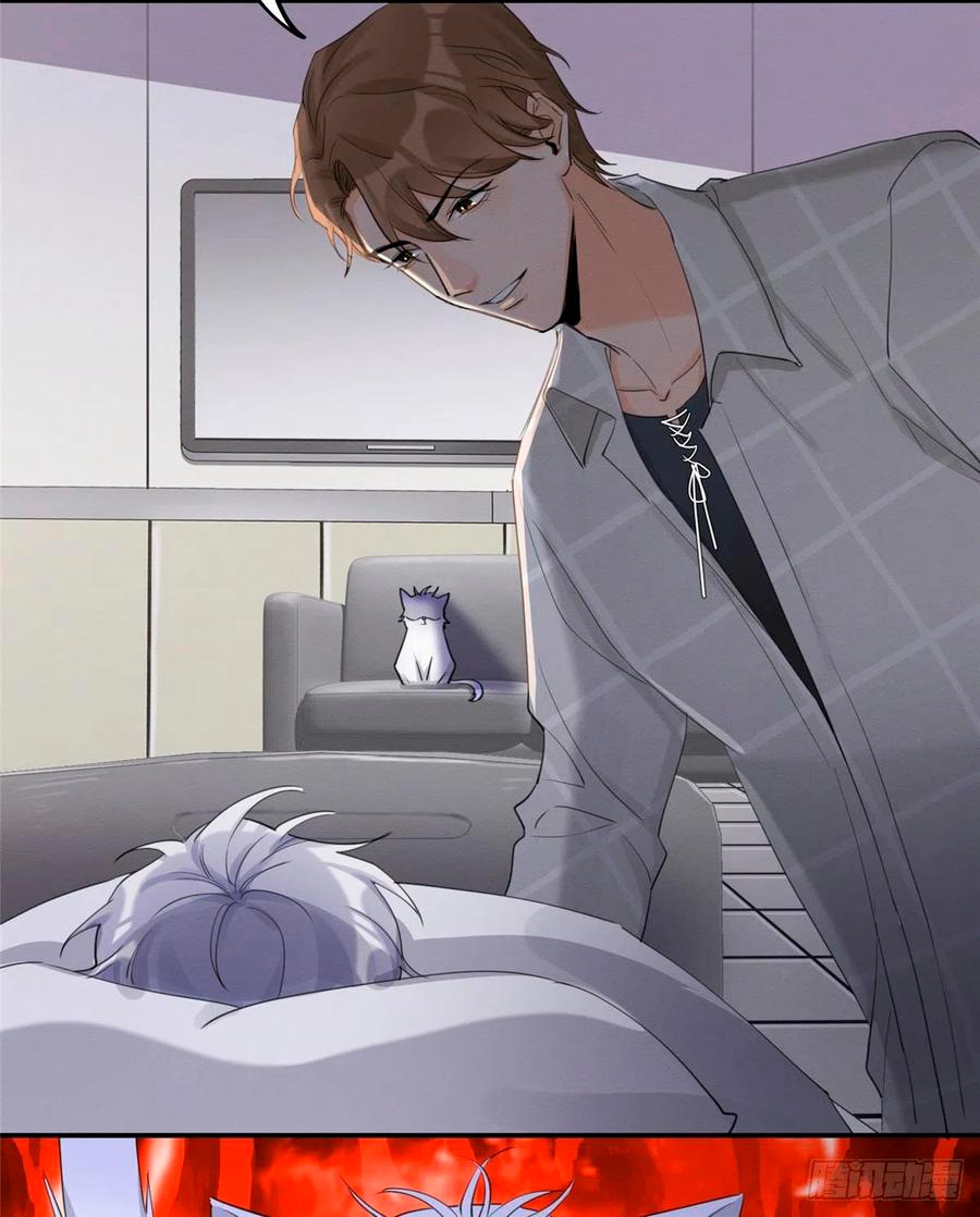 35 Tengo que trabajar duro para ser un gato hoy!