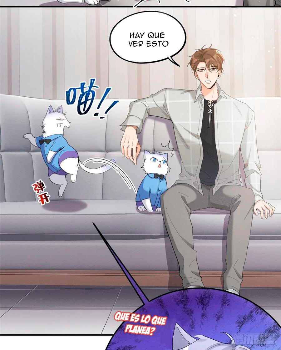 5 Tengo que trabajar duro para ser un gato hoy!