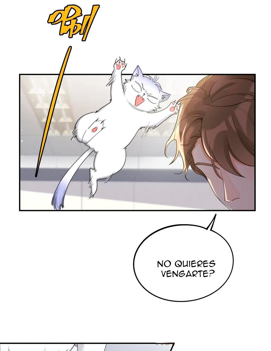 39 Tengo que trabajar duro para ser un gato hoy!