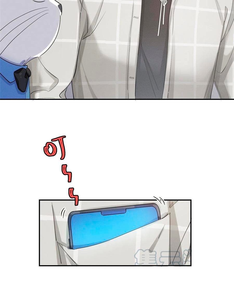 12 Tengo que trabajar duro para ser un gato hoy!