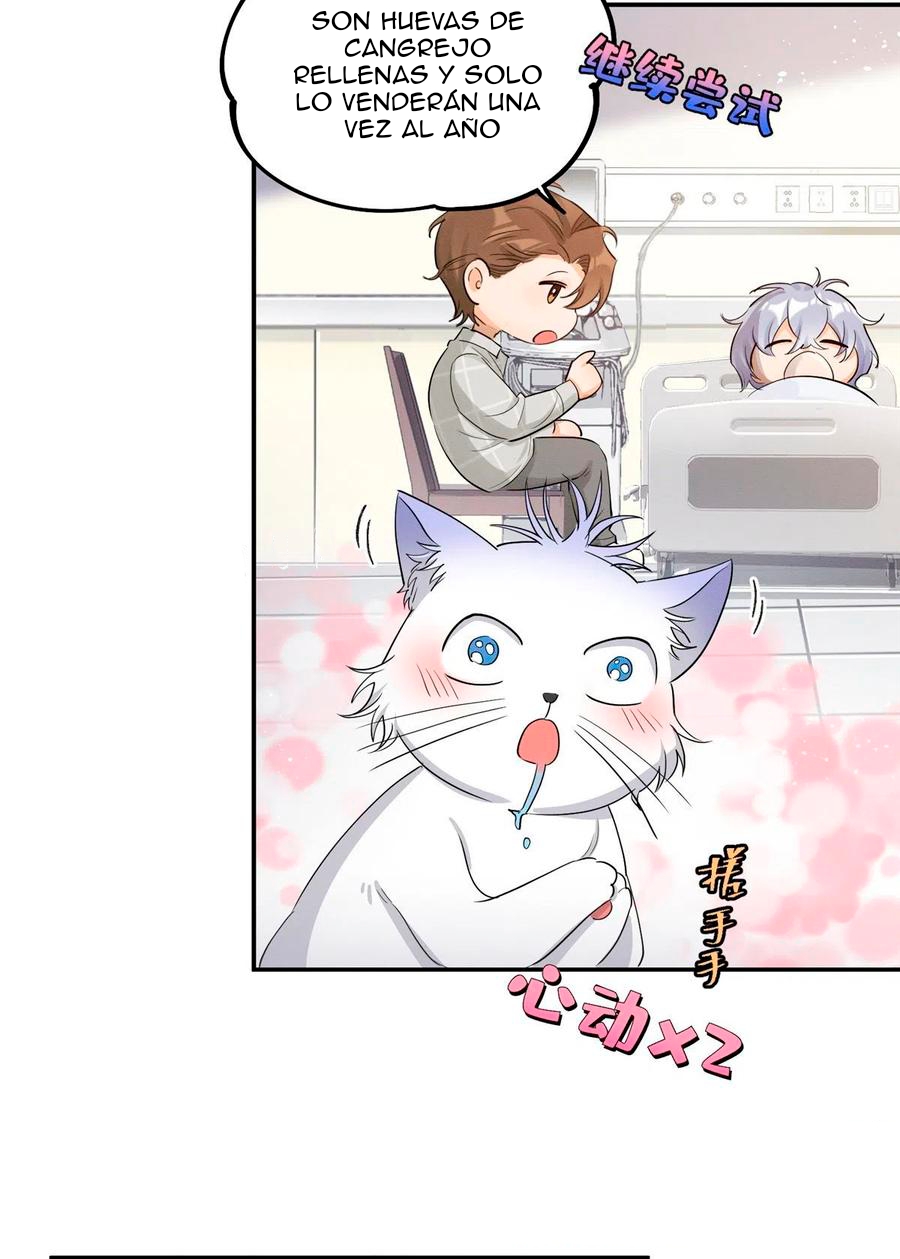 24 Tengo que trabajar duro para ser un gato hoy!