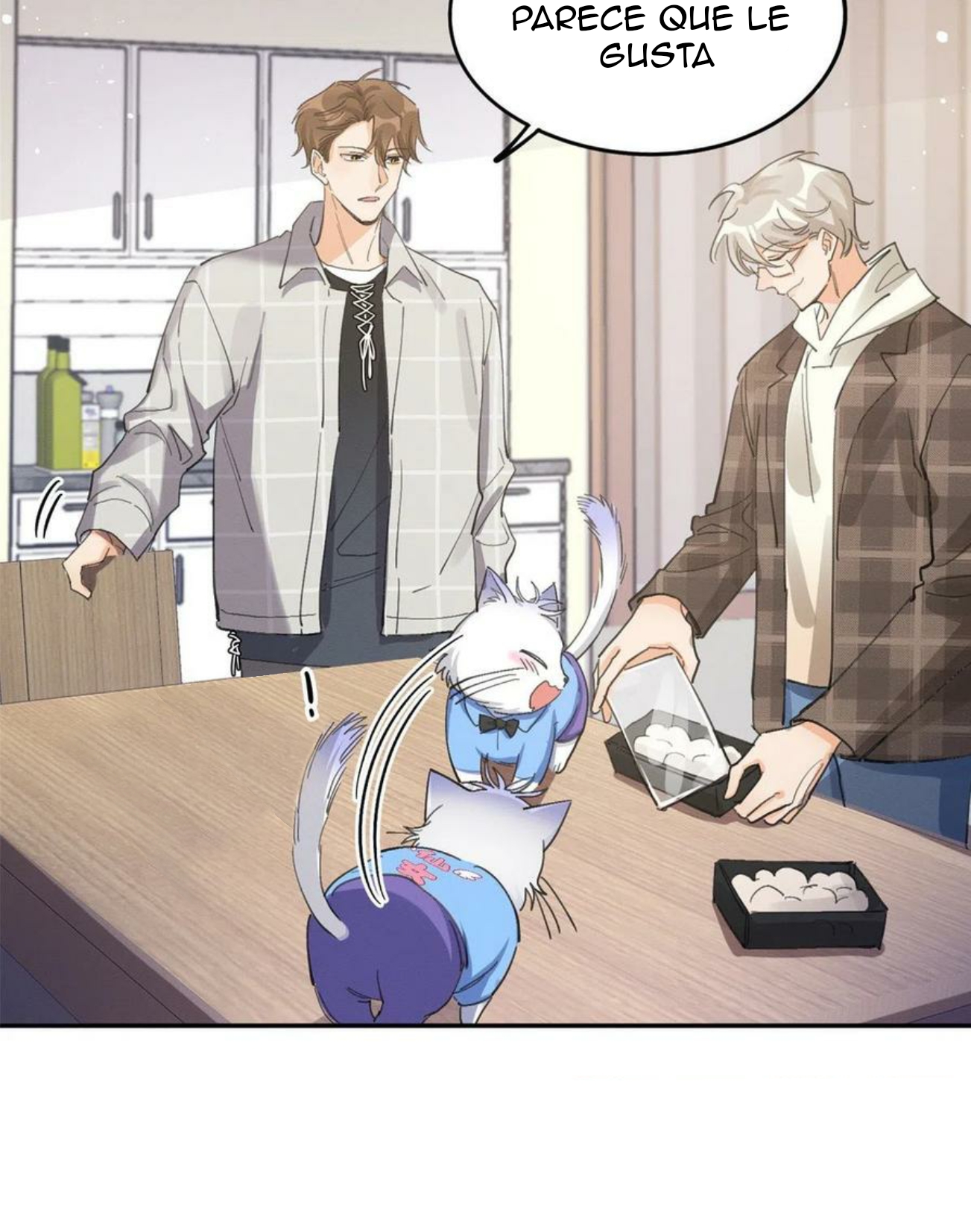 33 Tengo que trabajar duro para ser un gato hoy!