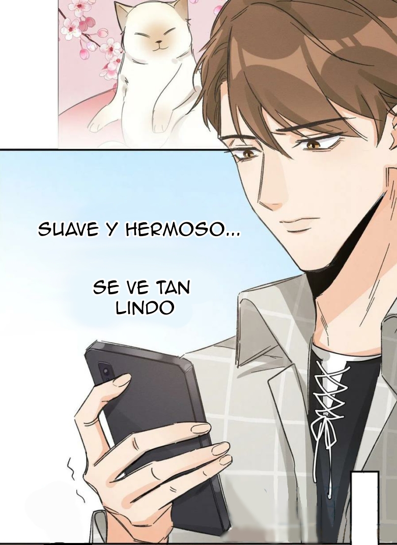 45 Tengo que trabajar duro para ser un gato hoy!