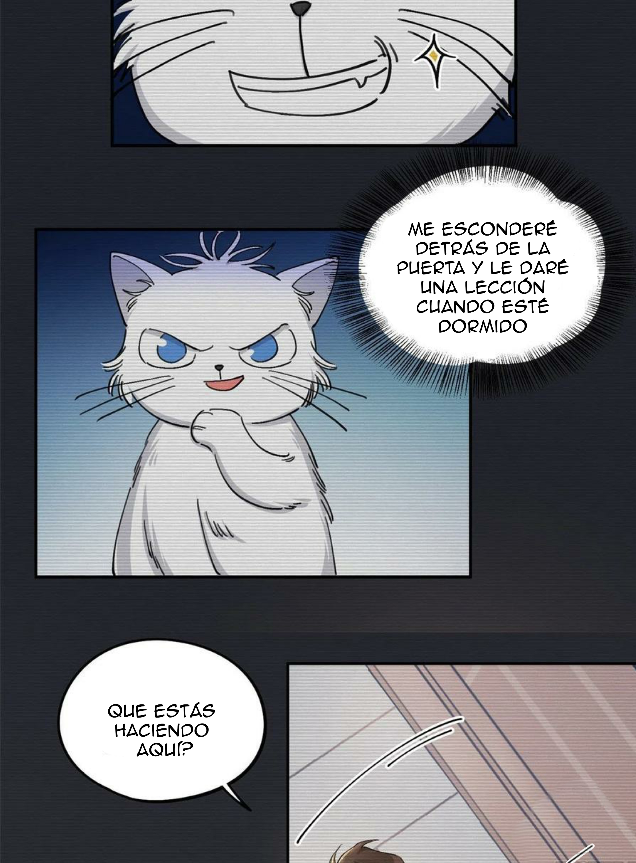 7 Tengo que trabajar duro para ser un gato hoy!