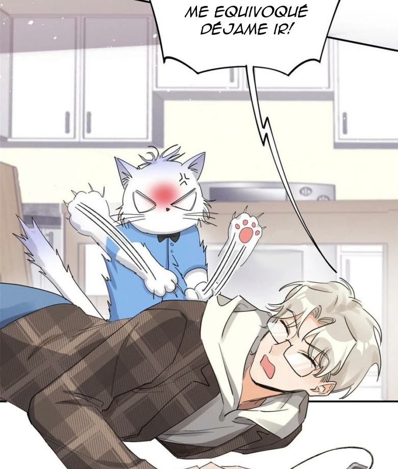 50 Tengo que trabajar duro para ser un gato hoy!