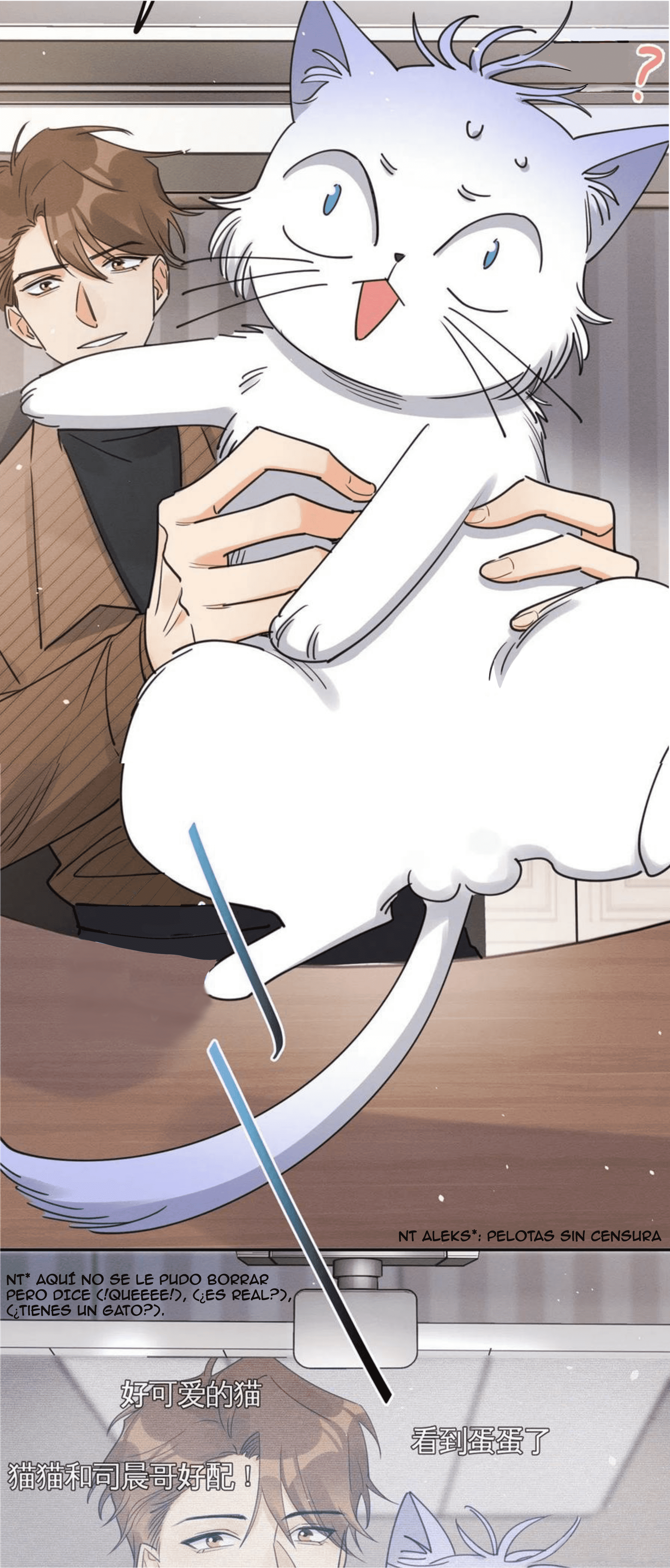 16 Tengo que trabajar duro para ser un gato hoy!