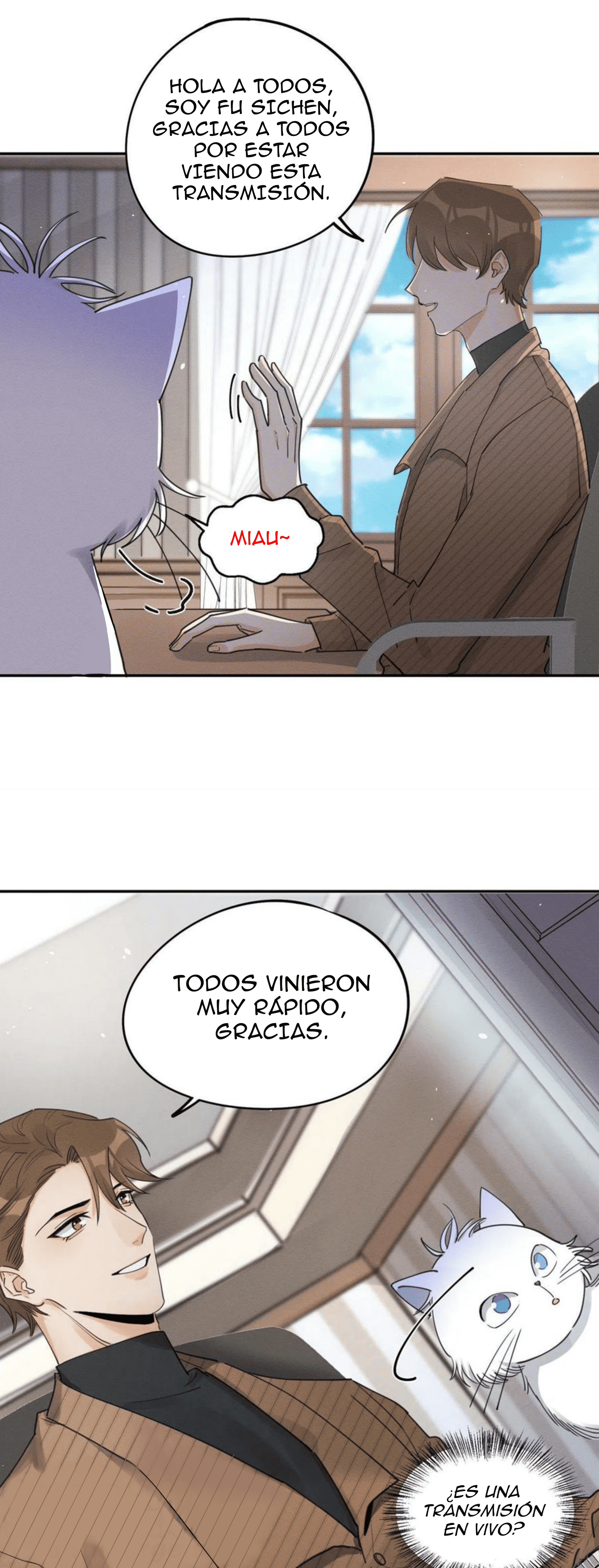 11 Tengo que trabajar duro para ser un gato hoy!