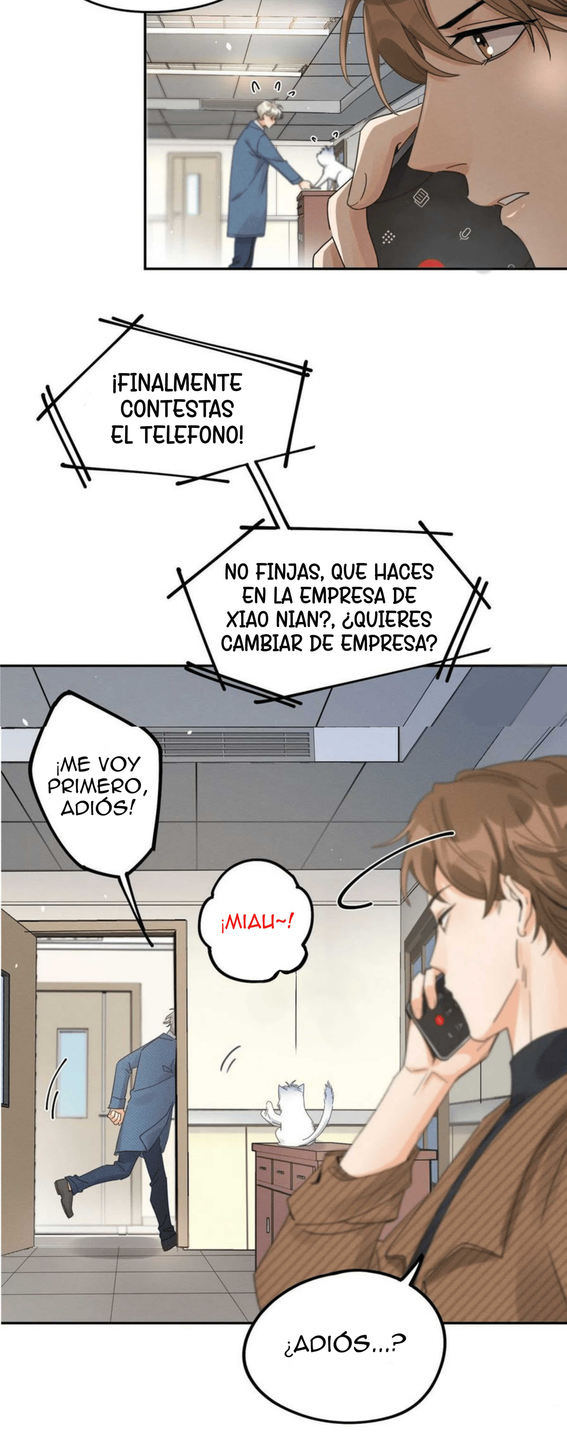 6 Tengo que trabajar duro para ser un gato hoy!