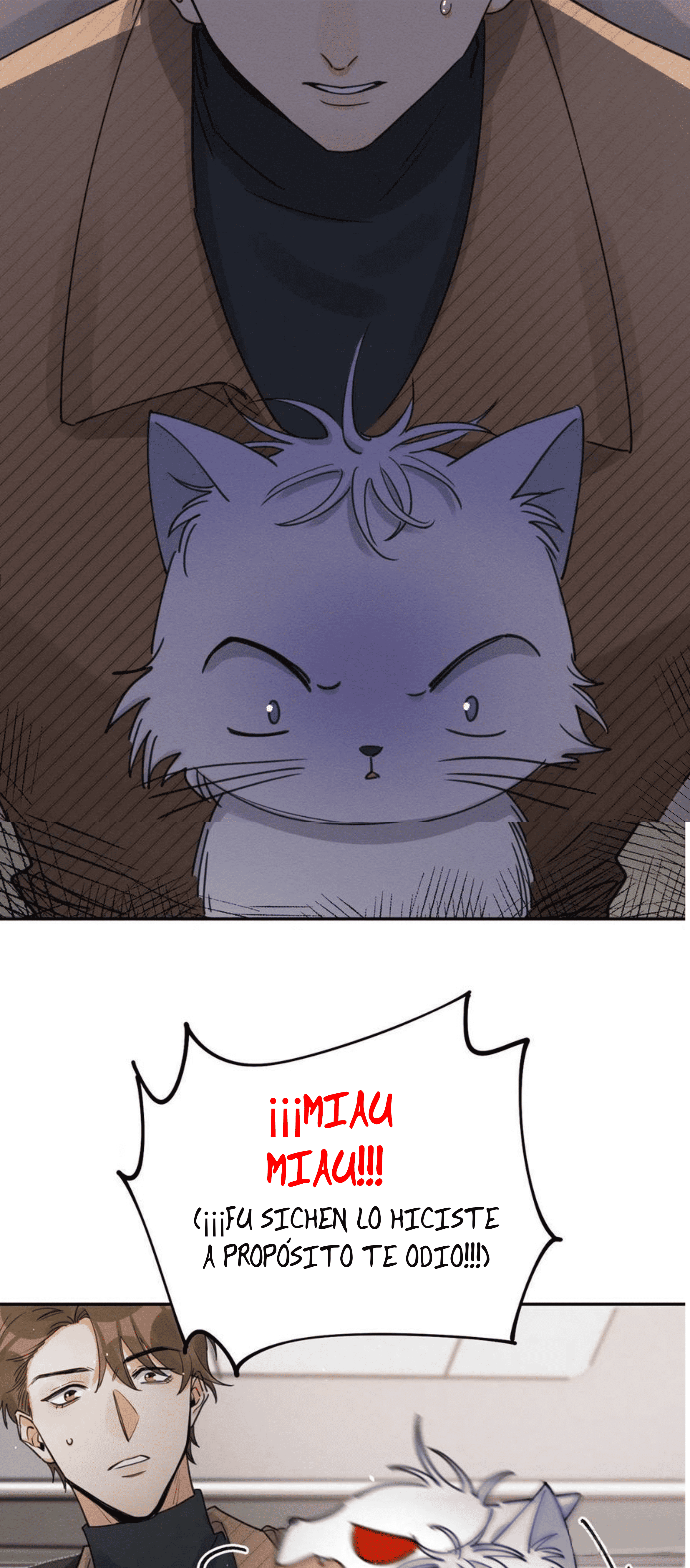 18 Tengo que trabajar duro para ser un gato hoy!