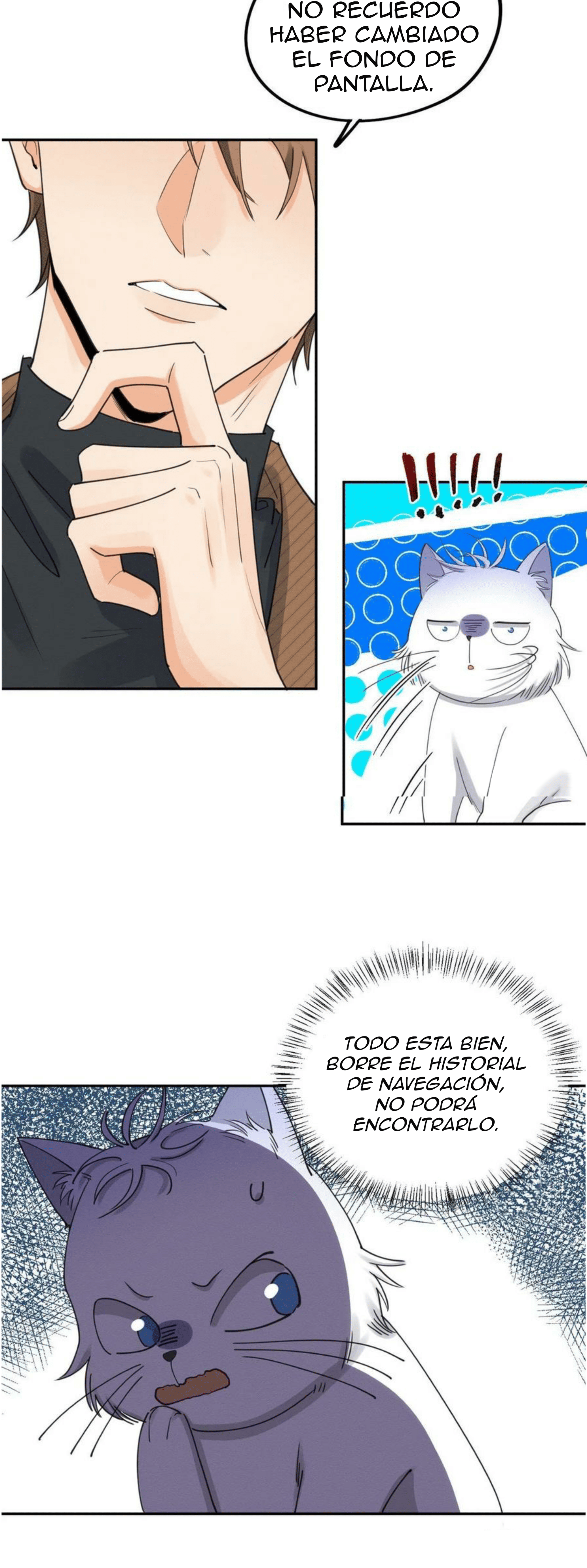 10 Tengo que trabajar duro para ser un gato hoy!