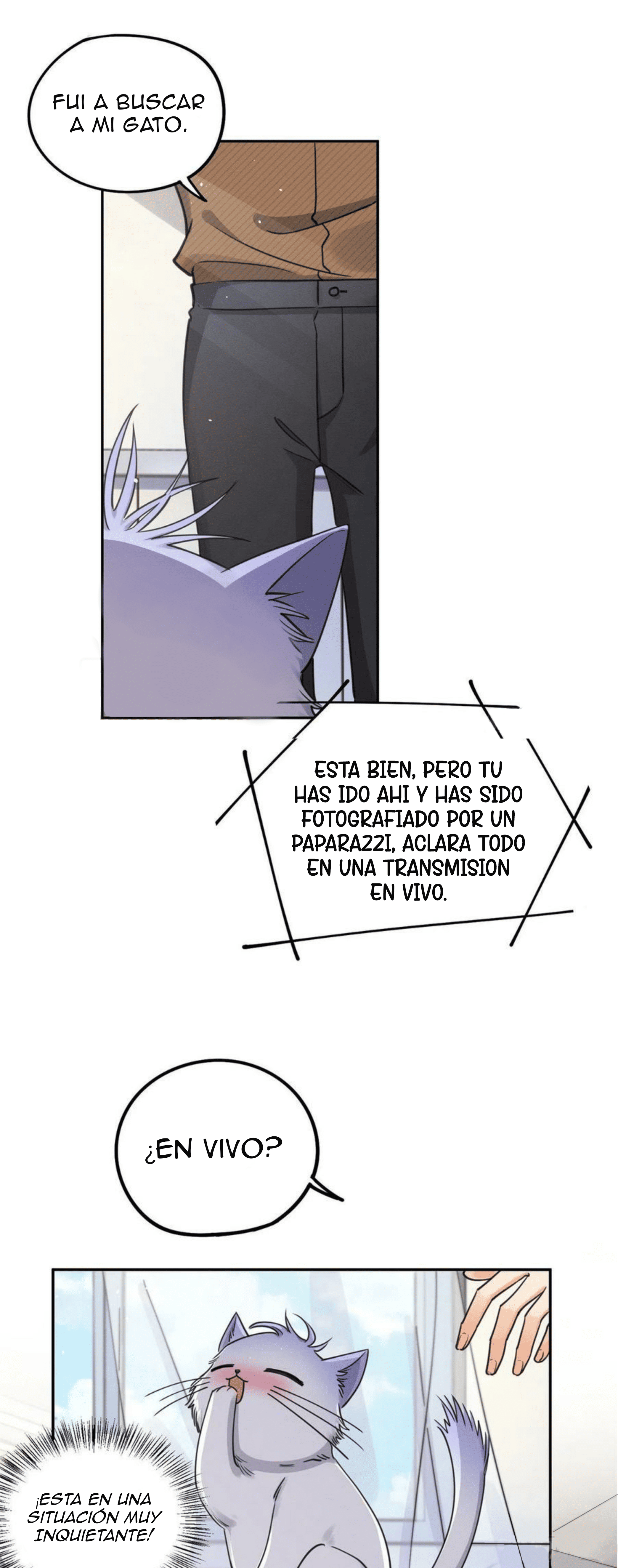 7 Tengo que trabajar duro para ser un gato hoy!