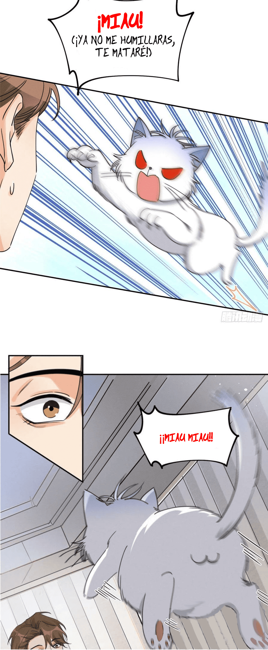 20 Tengo que trabajar duro para ser un gato hoy!