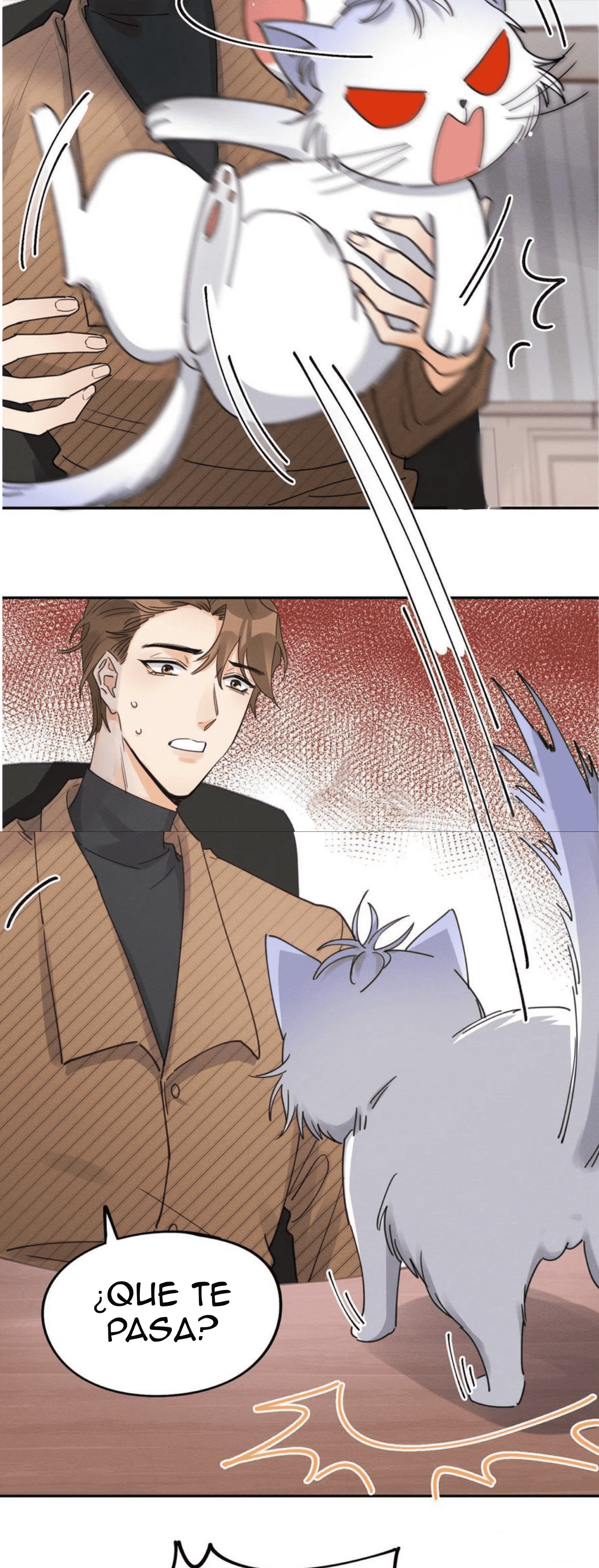 19 Tengo que trabajar duro para ser un gato hoy!