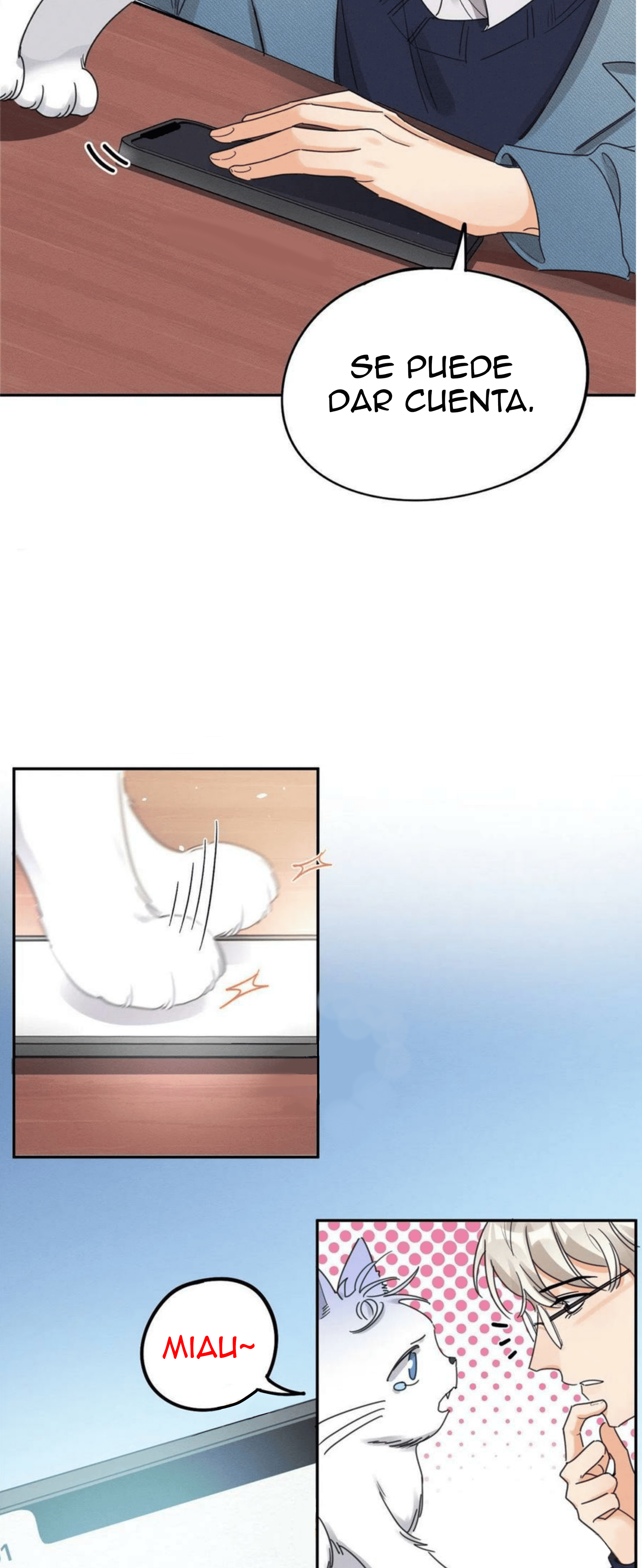 4 Tengo que trabajar duro para ser un gato hoy!