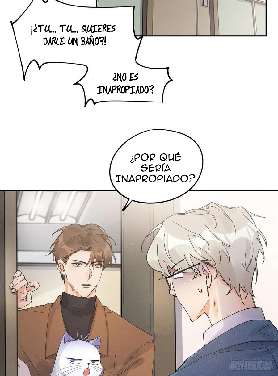 10 Tengo que trabajar duro para ser un gato hoy!