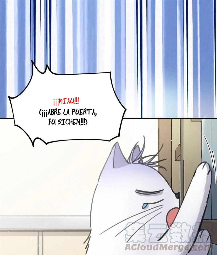 21 Tengo que trabajar duro para ser un gato hoy!