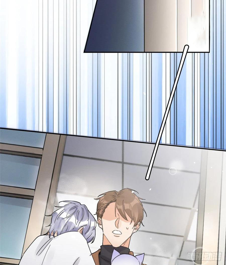 26 Tengo que trabajar duro para ser un gato hoy!