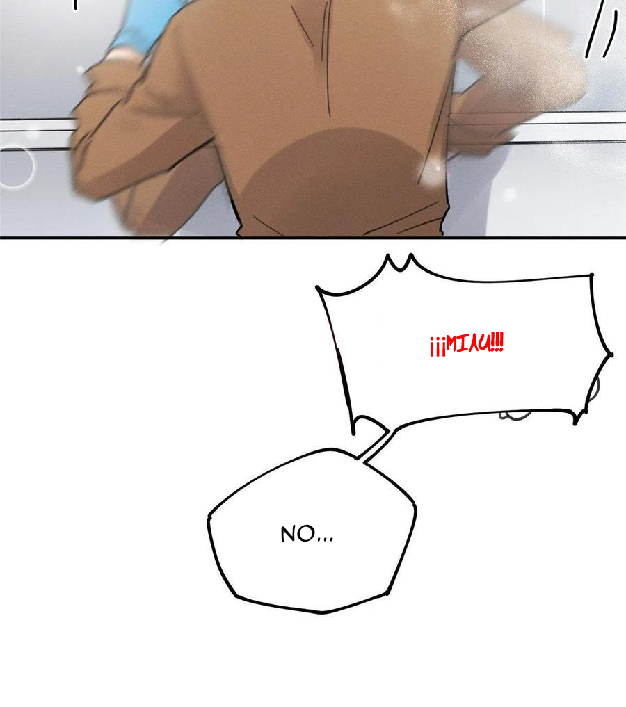 48 Tengo que trabajar duro para ser un gato hoy!