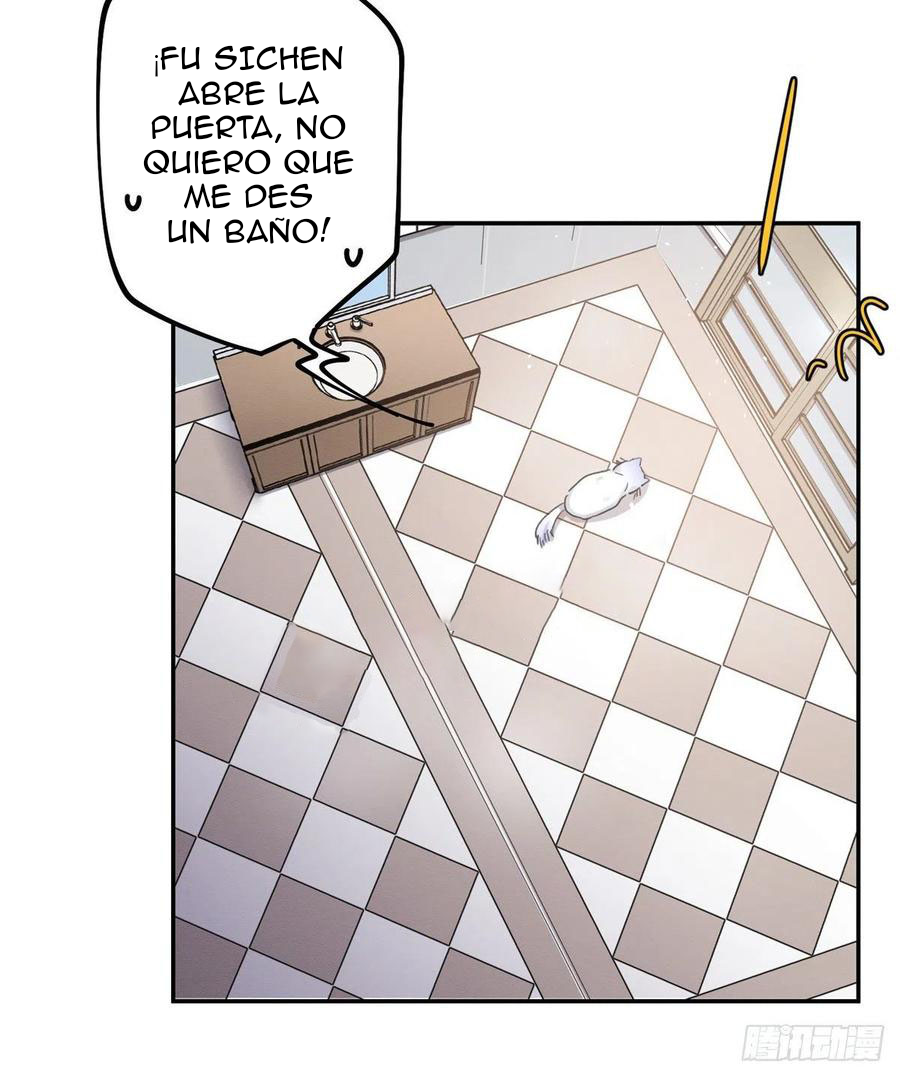 20 Tengo que trabajar duro para ser un gato hoy!