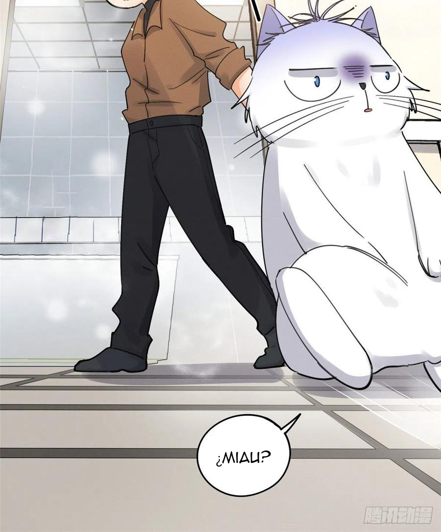 40 Tengo que trabajar duro para ser un gato hoy!