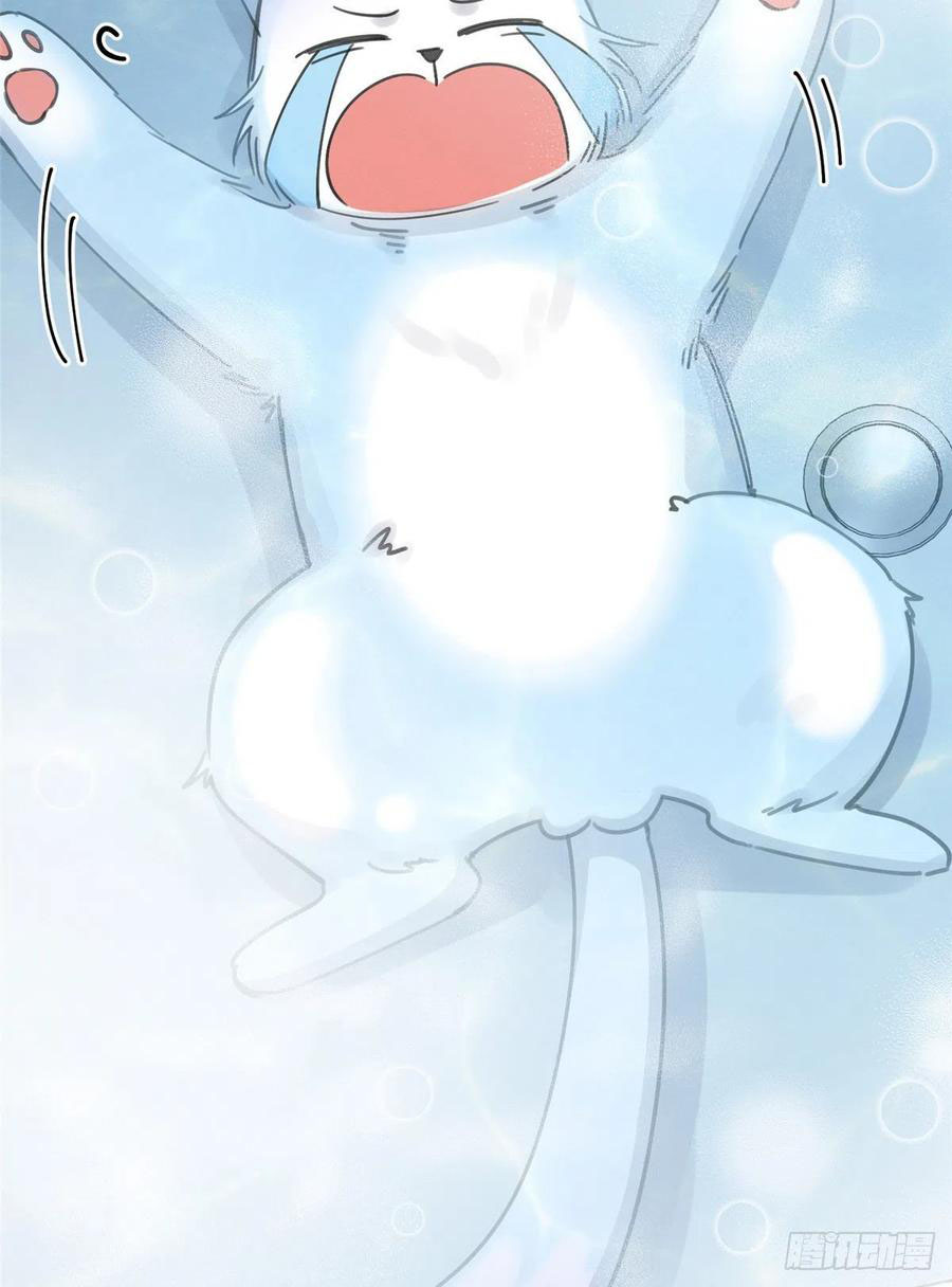 50 Tengo que trabajar duro para ser un gato hoy!