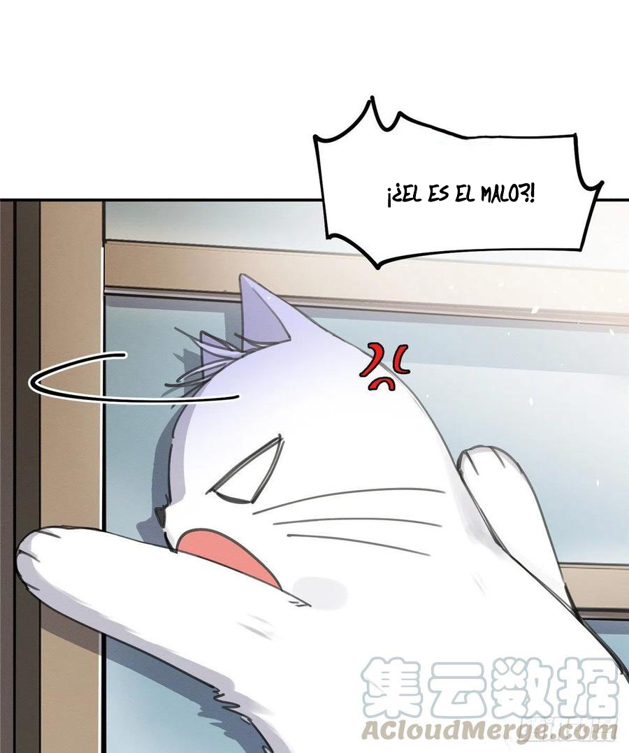 15 Tengo que trabajar duro para ser un gato hoy!