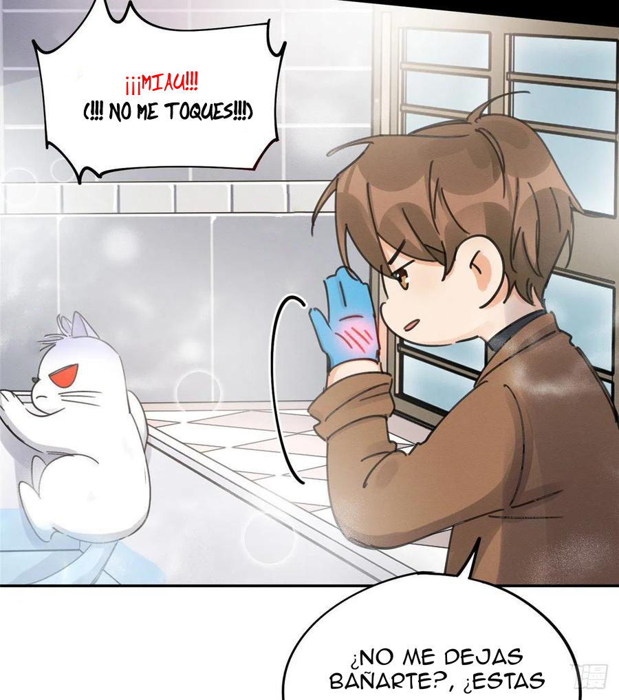 45 Tengo que trabajar duro para ser un gato hoy!