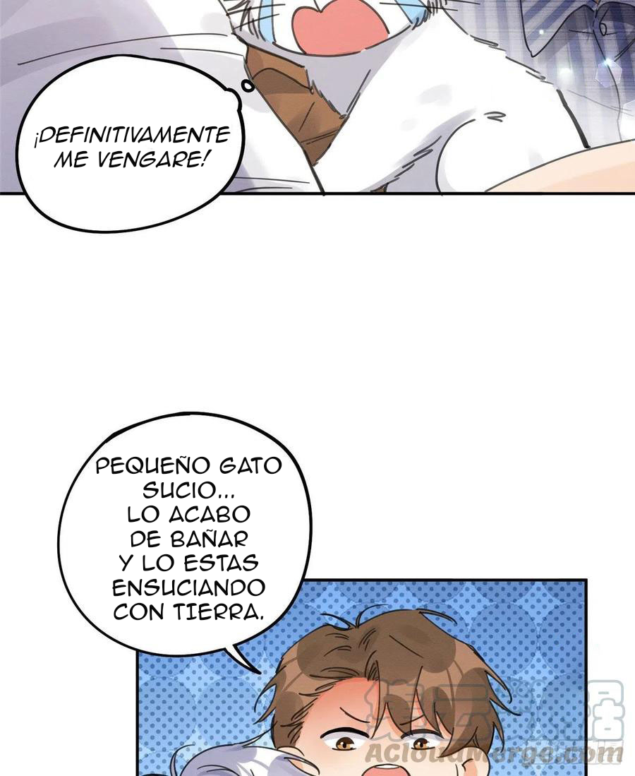 30 Tengo que trabajar duro para ser un gato hoy!