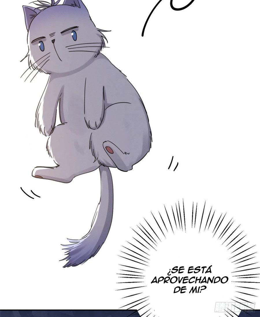 32 Tengo que trabajar duro para ser un gato hoy!