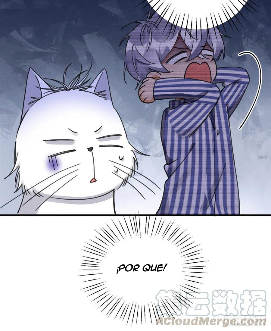 33 Tengo que trabajar duro para ser un gato hoy!