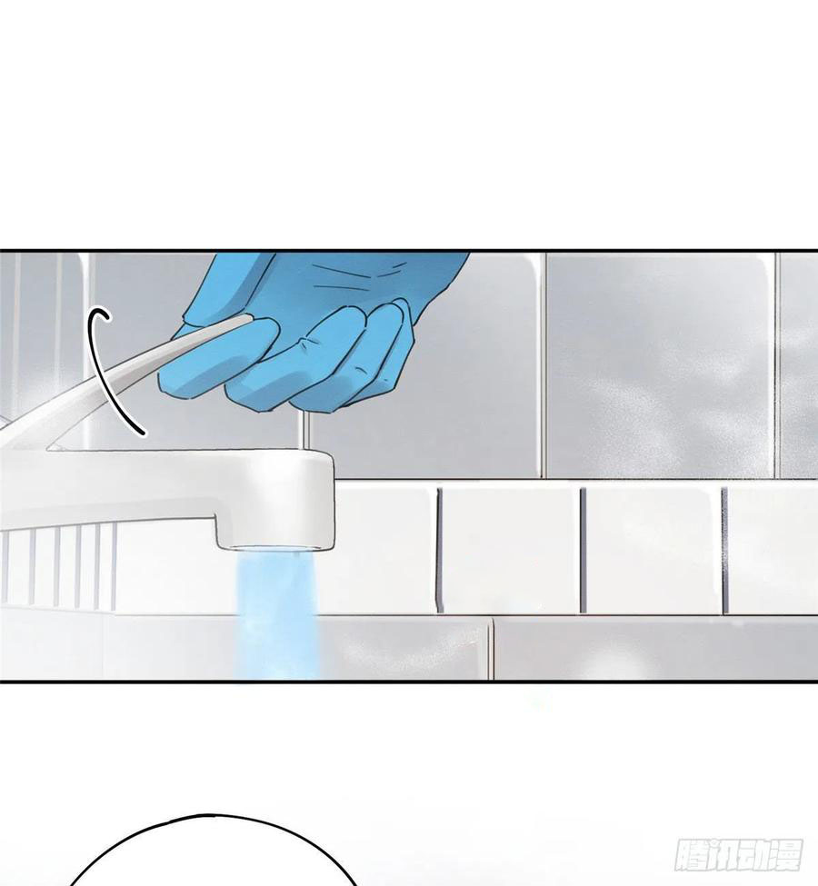 41 Tengo que trabajar duro para ser un gato hoy!